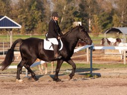IMG_7679_web